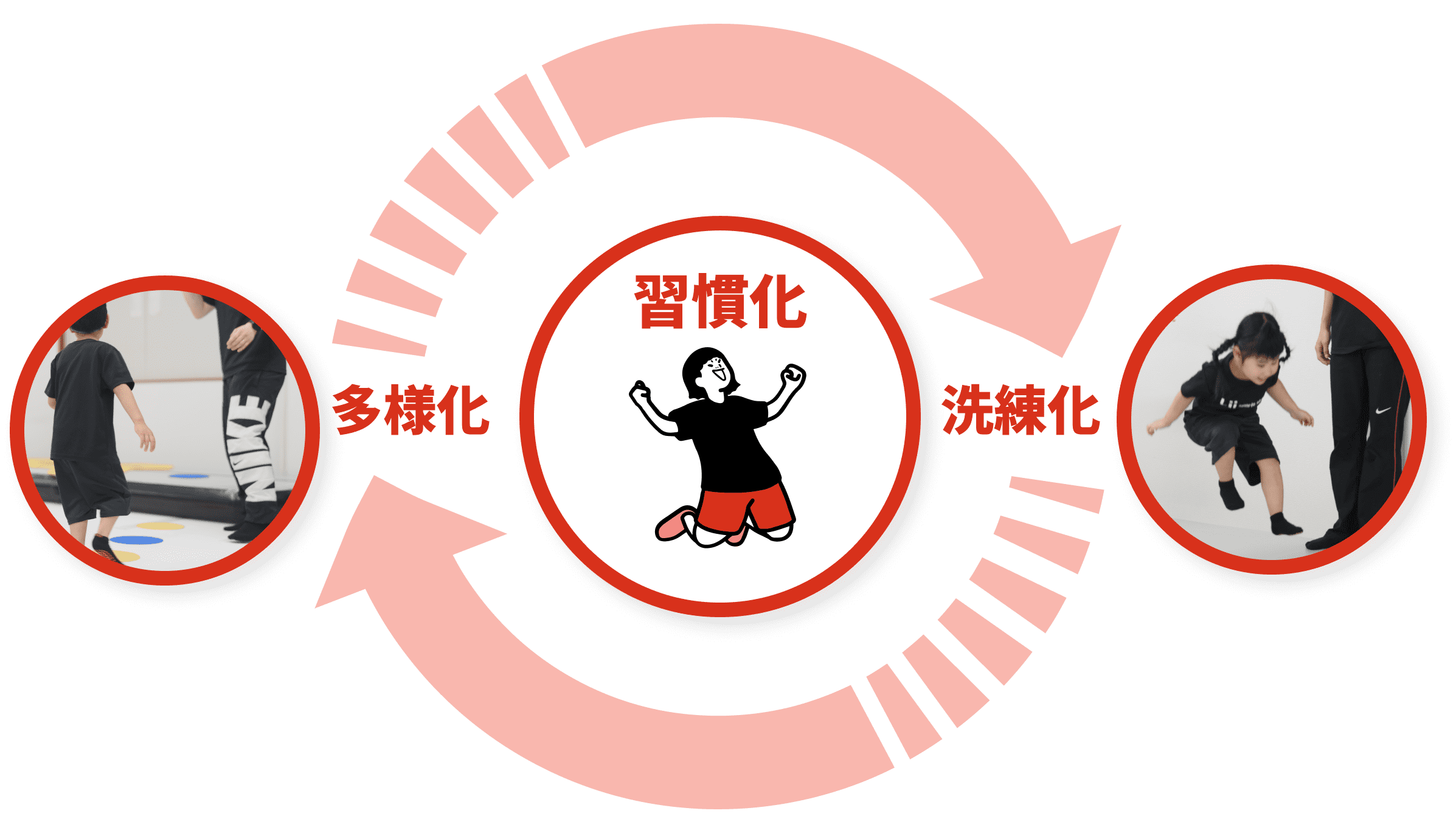 Diversification, habituation, refinement